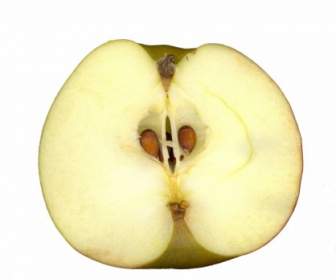 فاكهة التفاح الماسحات الضوئية