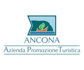 Apt Ancona