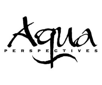 Aqua 的觀點
