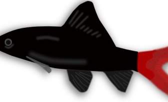 Aquarium Fish Silhouette Clip Art