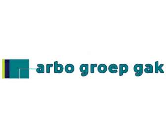 Gak Groep Arbo