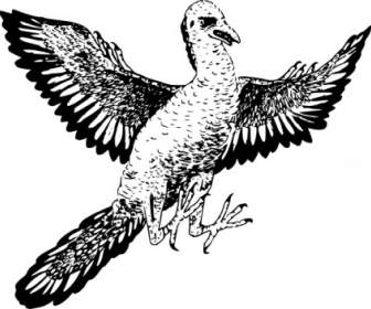 Archaeopteryx-ClipArt