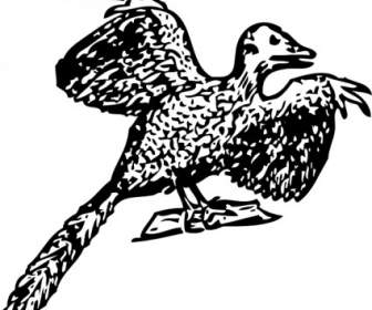 Fragmen Archaeopteryx Clip Art
