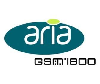 Aria Gsm