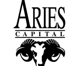 Capital De Áries