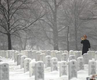 Narodowy Cmentarz W Arlington Washington Dc Trębacza