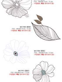 สวยแฟชั่นเกาหลี Artcity Patterns ชุด