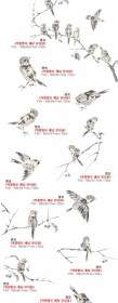 Artcity Korean Ink Bird Psd