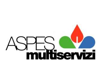 Aspes Multiservizi 水療中心