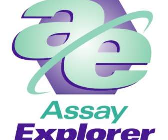 Assay-explorer