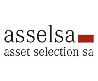 Asselsa Asset-Auswahl