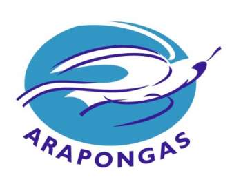 Associacao Atletica Arapongas เด Arapongas Pr