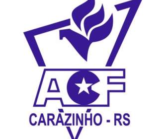 Associacao Carazinhense де Futebol де Каразинью Rs