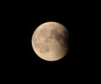 Astro Tanaman Eclipse