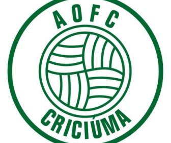 競技 Operario Futebol 柱 De Criciuma Sc