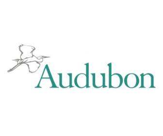 Audubon นิวเจอร์ซีย์