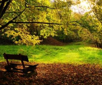 осенняя скамейка обои Осень природа
