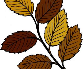 Autumn Leaves On Branch Clip Art
