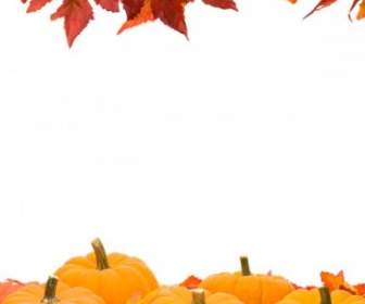 Autumn Leaves Pumpkin Picture Frame Hd Pictures