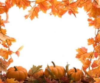 秋天的樹葉南瓜圖片幀高清圖片