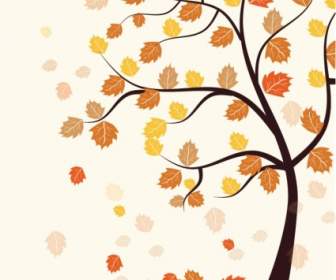 秋天一棵樹