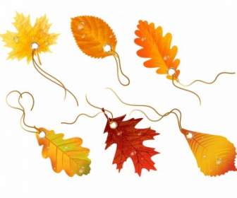 Autumnal Discount Vector Fall Leaves