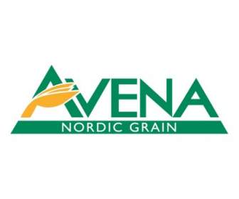 Avena Nordic Grain