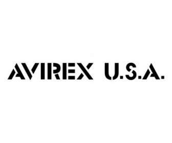 美國 Avirex