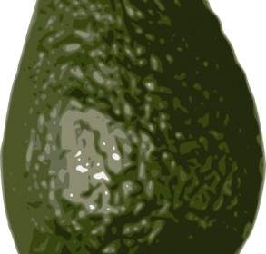 Avocado ClipArt