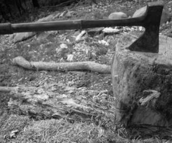 Axe In Stump