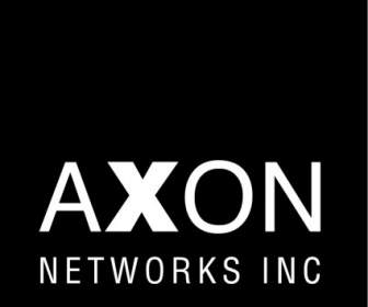Redes De Axônio