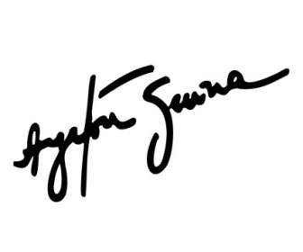 Ayrton Senna Singnature