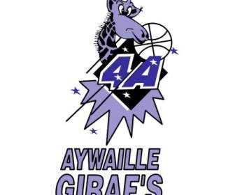 Aywaille Girafs