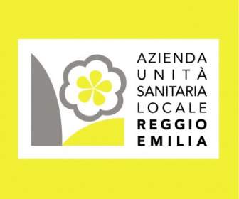 Azienda UNITA Sanitaria Yerel Ayar Ayar Reggio Emilia