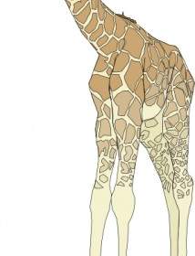 Bebê Girafa Clip Art