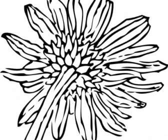 Back Of A Sunflower Clip Art
