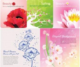 Background Color Vector Flowers Card