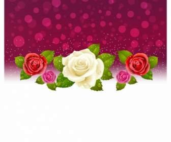 Background Of Red And White Roses