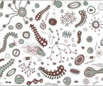 Bakterie I Wirusy Wektor