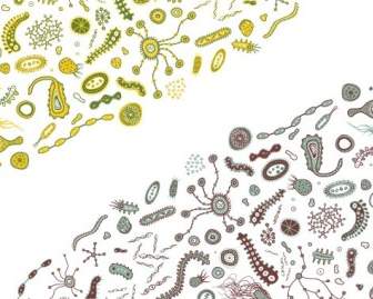 細菌のベクトル