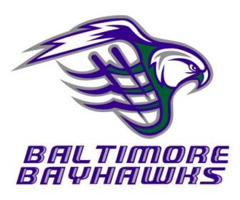 Baltimora Bayhawks
