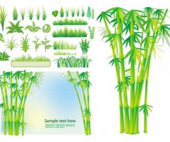 竹草植物向量