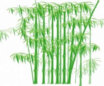 Vector De Bambú