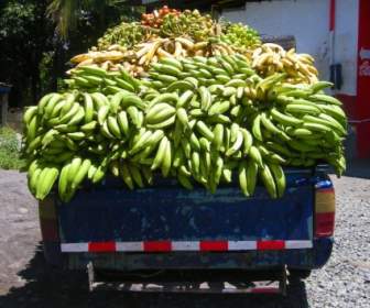 Panamá De Camiones De Entrega De Plátano