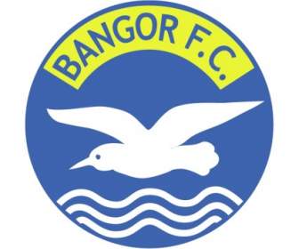 Bangor Fc