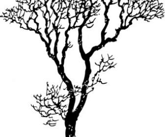Pohon Telanjang Clip Art