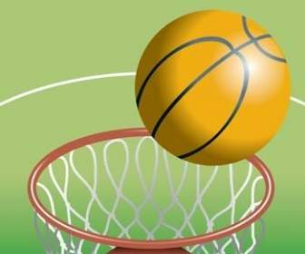 Vector Sport Basket