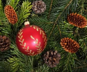 Bauble On Christmas Tree Background