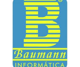 Informatica Бауманн