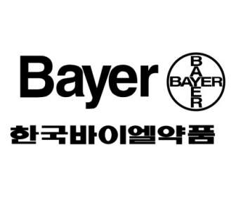 Bayer Coréia